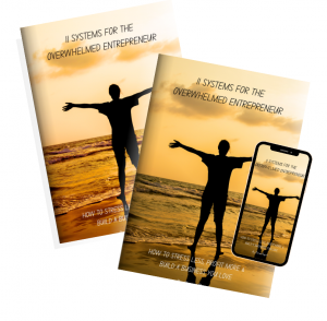 11 Systems for the Overwhelmed Entrepreneur: How to Stress Less, Profit More & Build a Business You Love